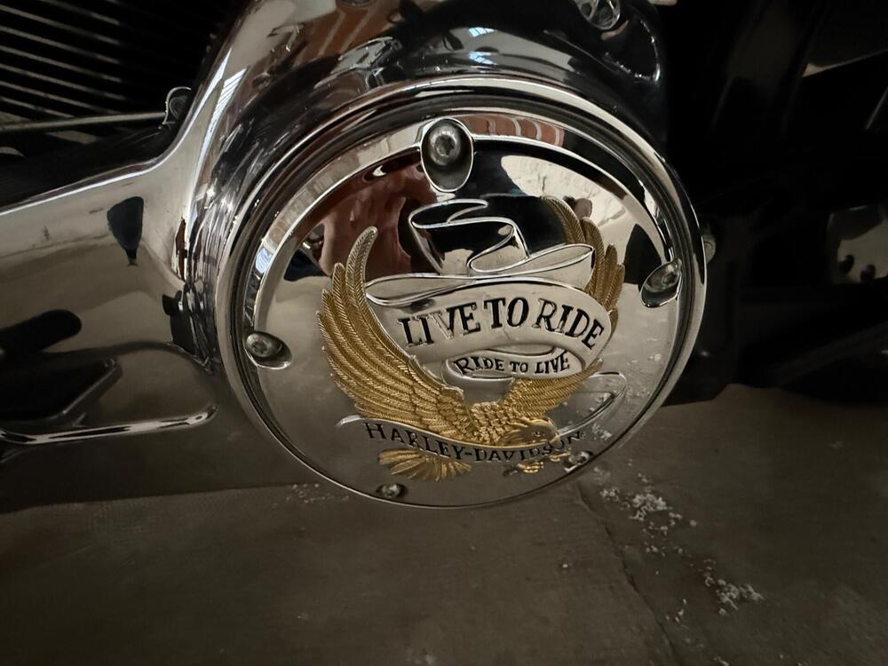 Harley-Davidson 1690 Fat Boy Special (2010 - 17) - FLSTF (5)