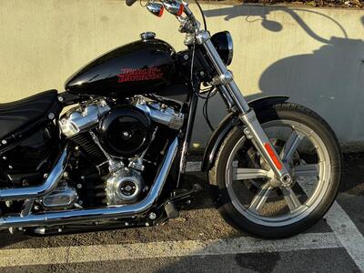 Harley-Davidson Softail Standard (2021 - 25) nuova