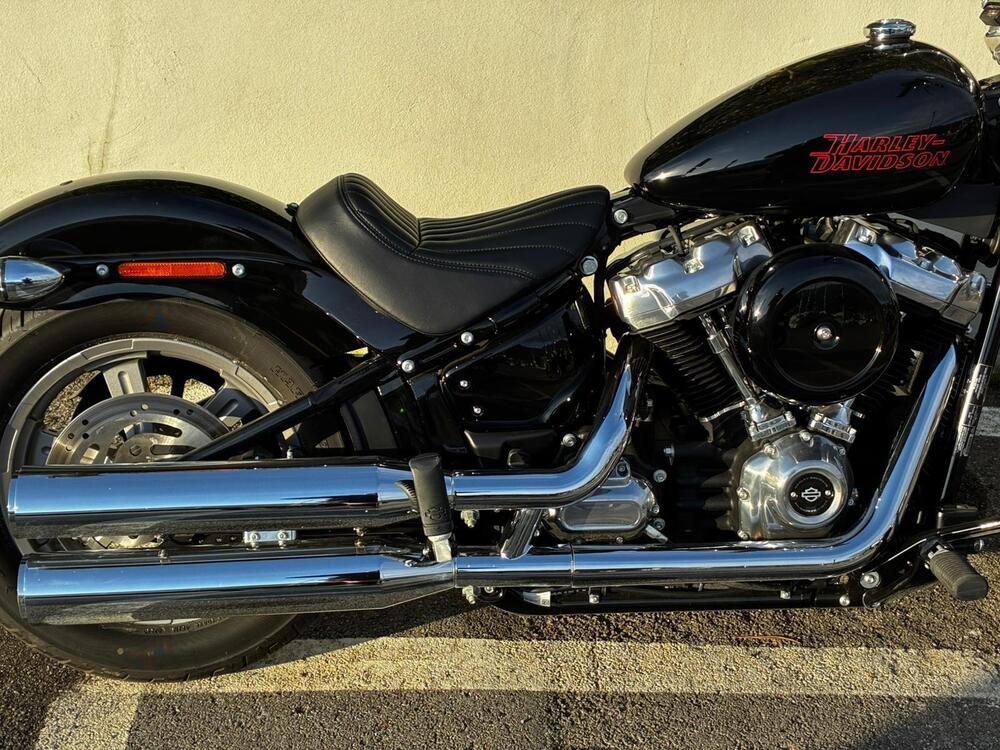 Harley-Davidson Softail Standard (2021 - 25) (3)