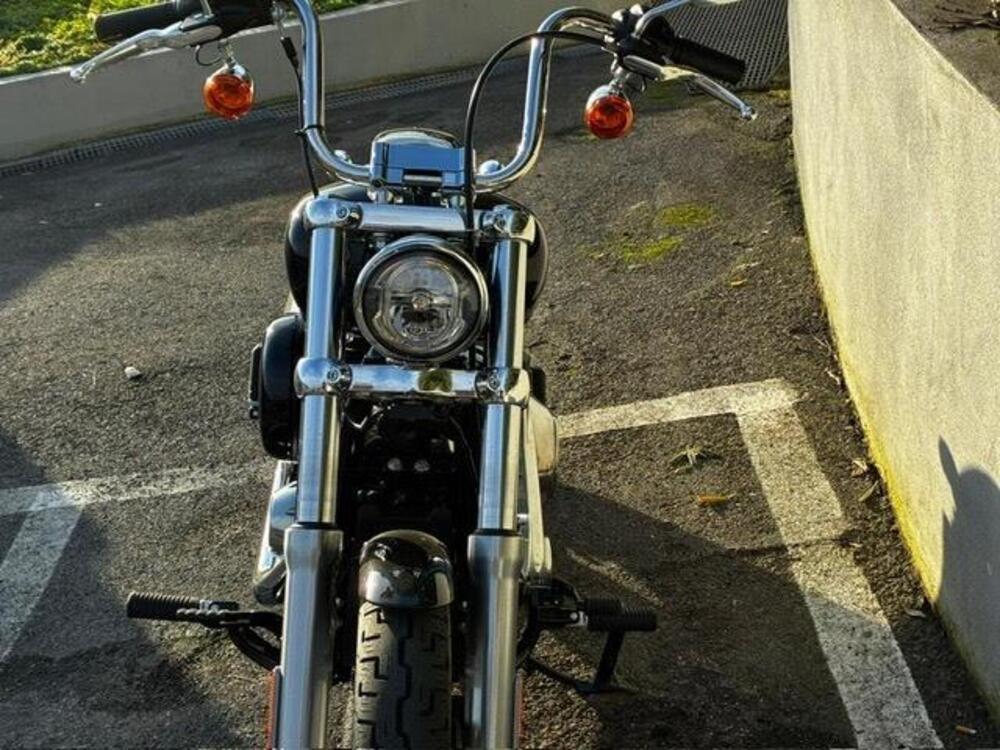 Harley-Davidson Softail Standard (2021 - 25) (2)