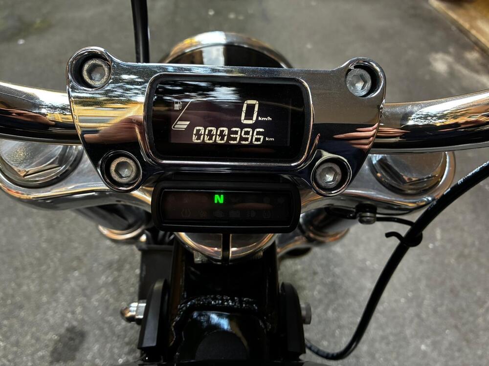 Harley-Davidson Softail Standard (2021 - 25) (4)