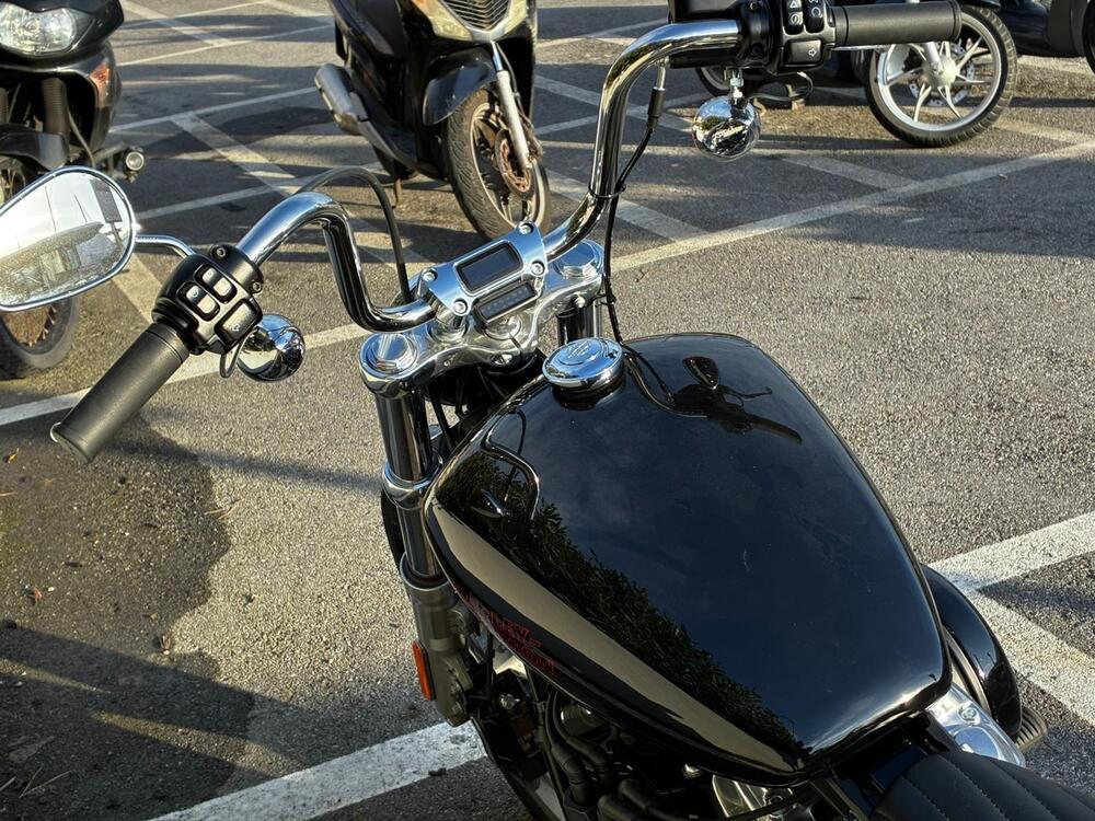 Harley-Davidson Softail Standard (2021 - 25) (8)