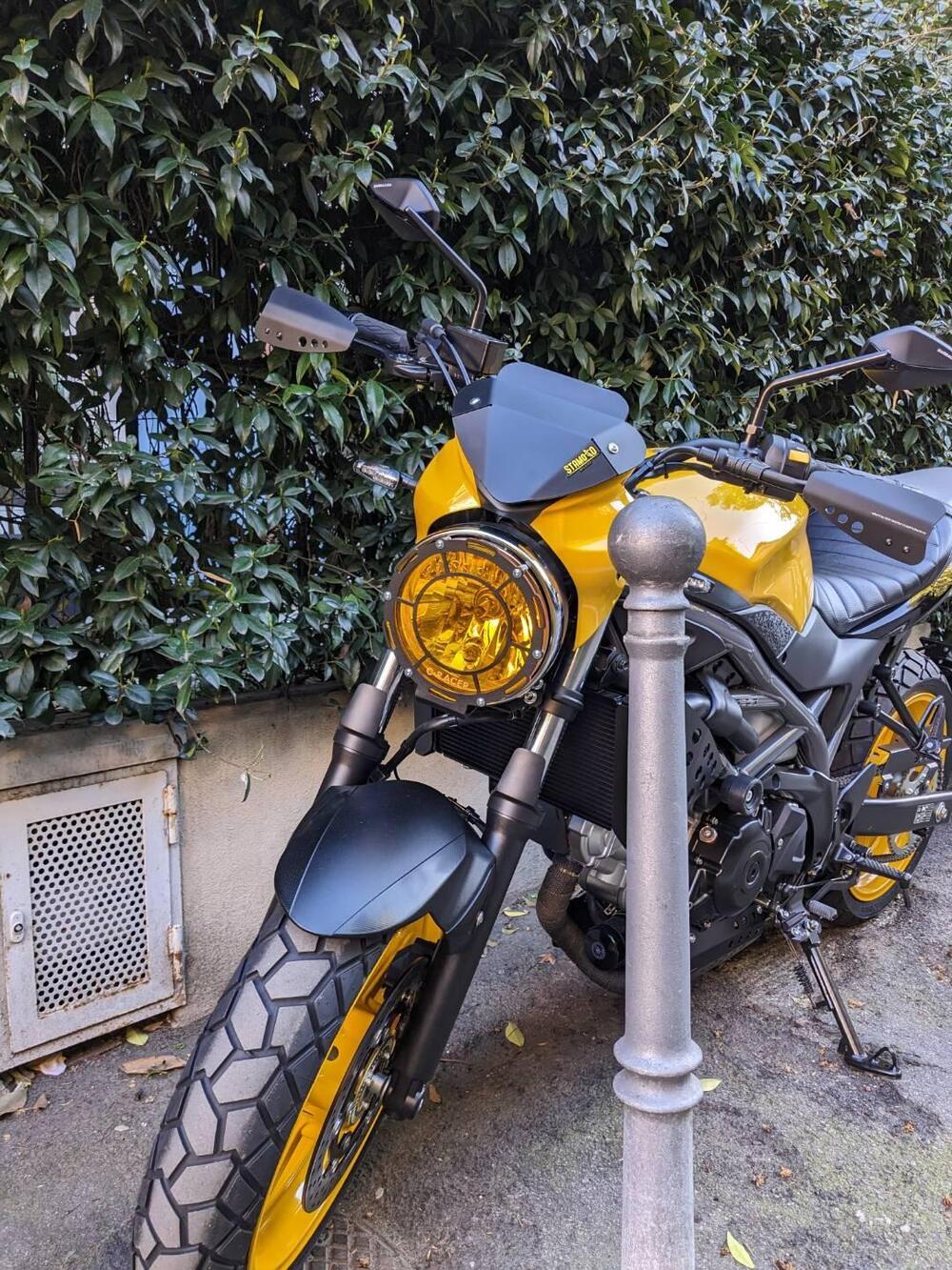 Suzuki SV650 (2021 - 24) (2)