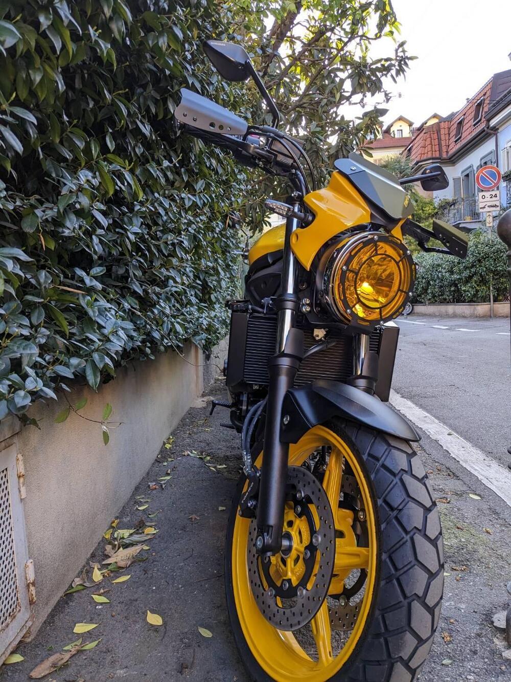 Suzuki SV650 (2021 - 24) (3)