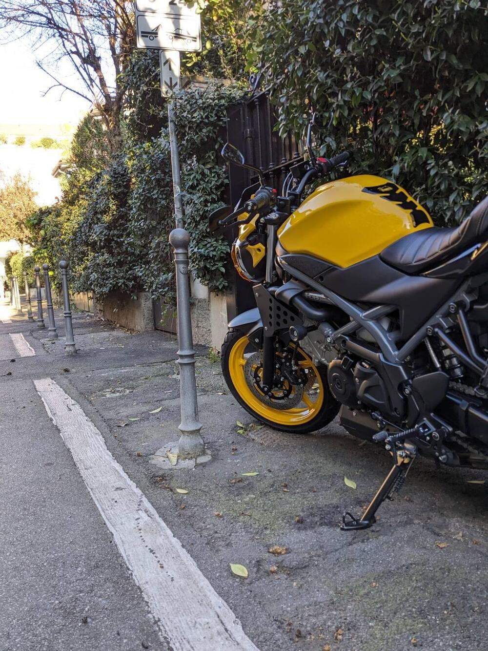 Suzuki SV650 (2021 - 24) (4)