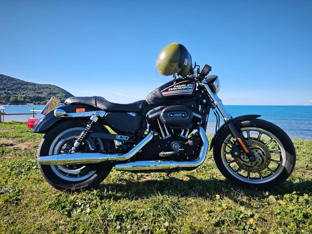 Harley-Davidson 883 R (2008 - 16) - XL 883R (19)