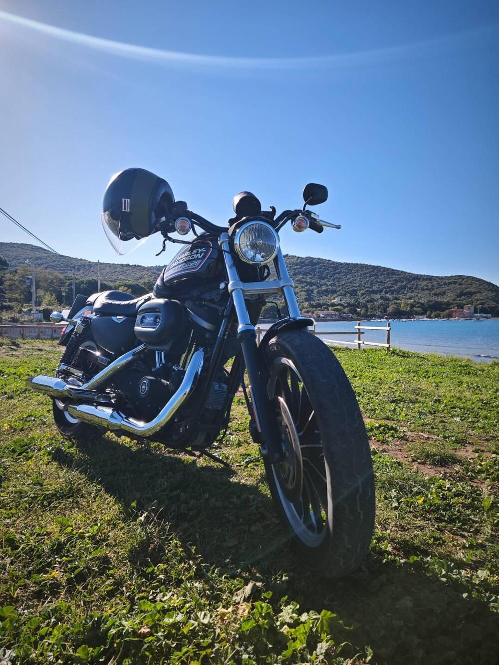 Harley-Davidson 883 R (2008 - 16) - XL 883R (20)