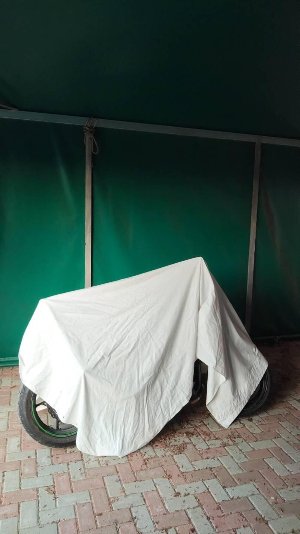 Kawasaki Z 900 (2021 - 24) (9)