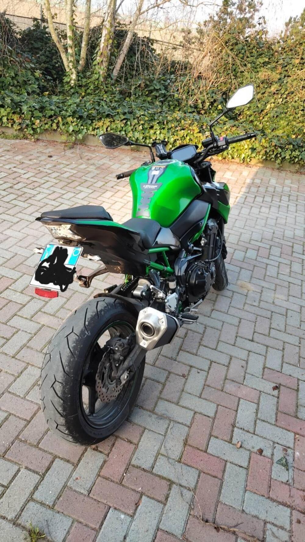 Kawasaki Z 900 (2021 - 24) (11)