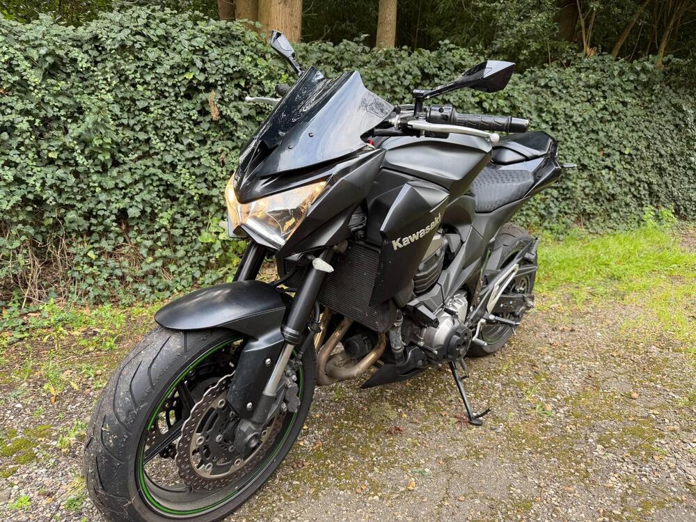 Kawasaki Z 800 e ABS (2012 - 16) (5)