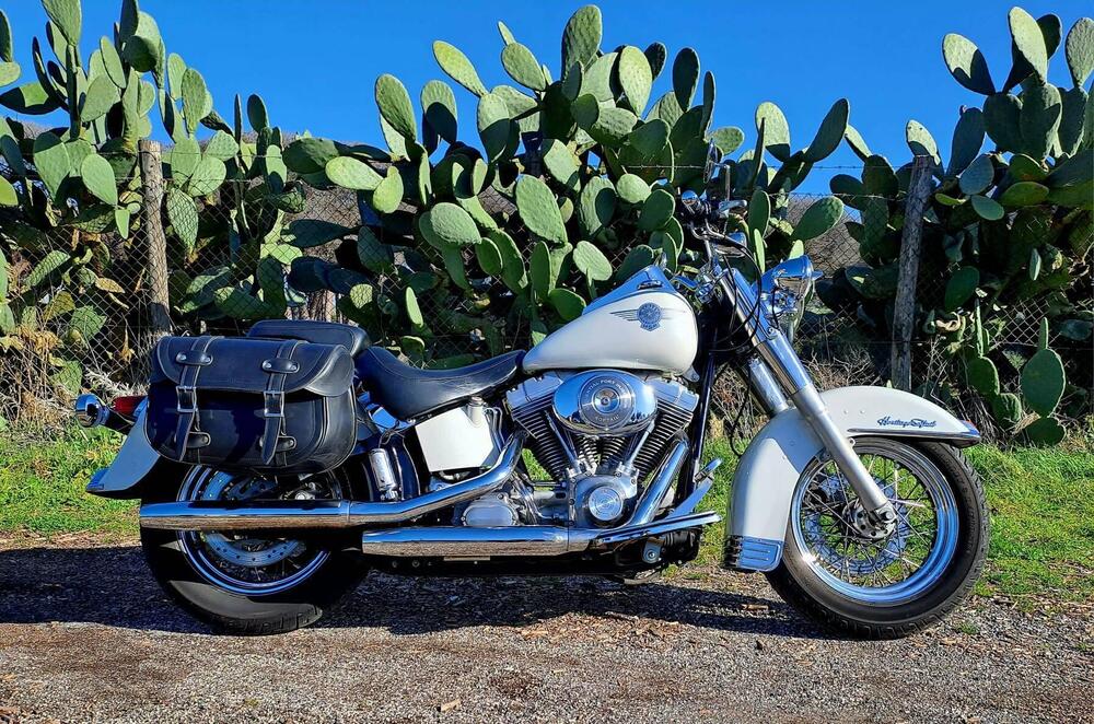 Harley-Davidson 1450 Heritage Classic (2006 - 07) - FLSTCI (14)