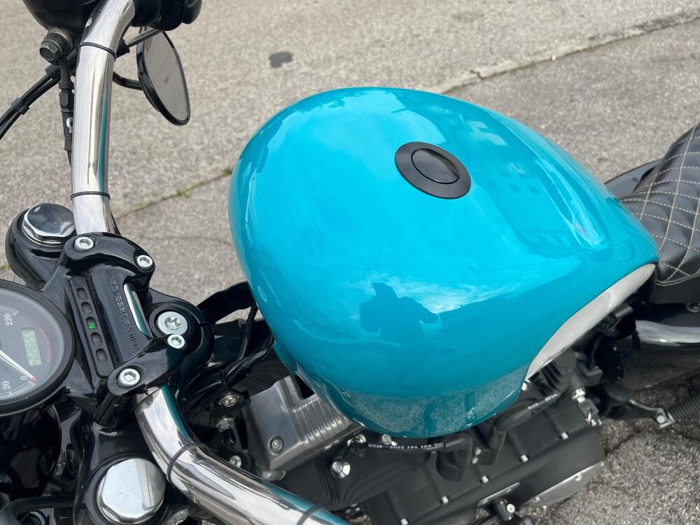 Harley-Davidson 1200 Forty-Eight (2010 - 15) (13)