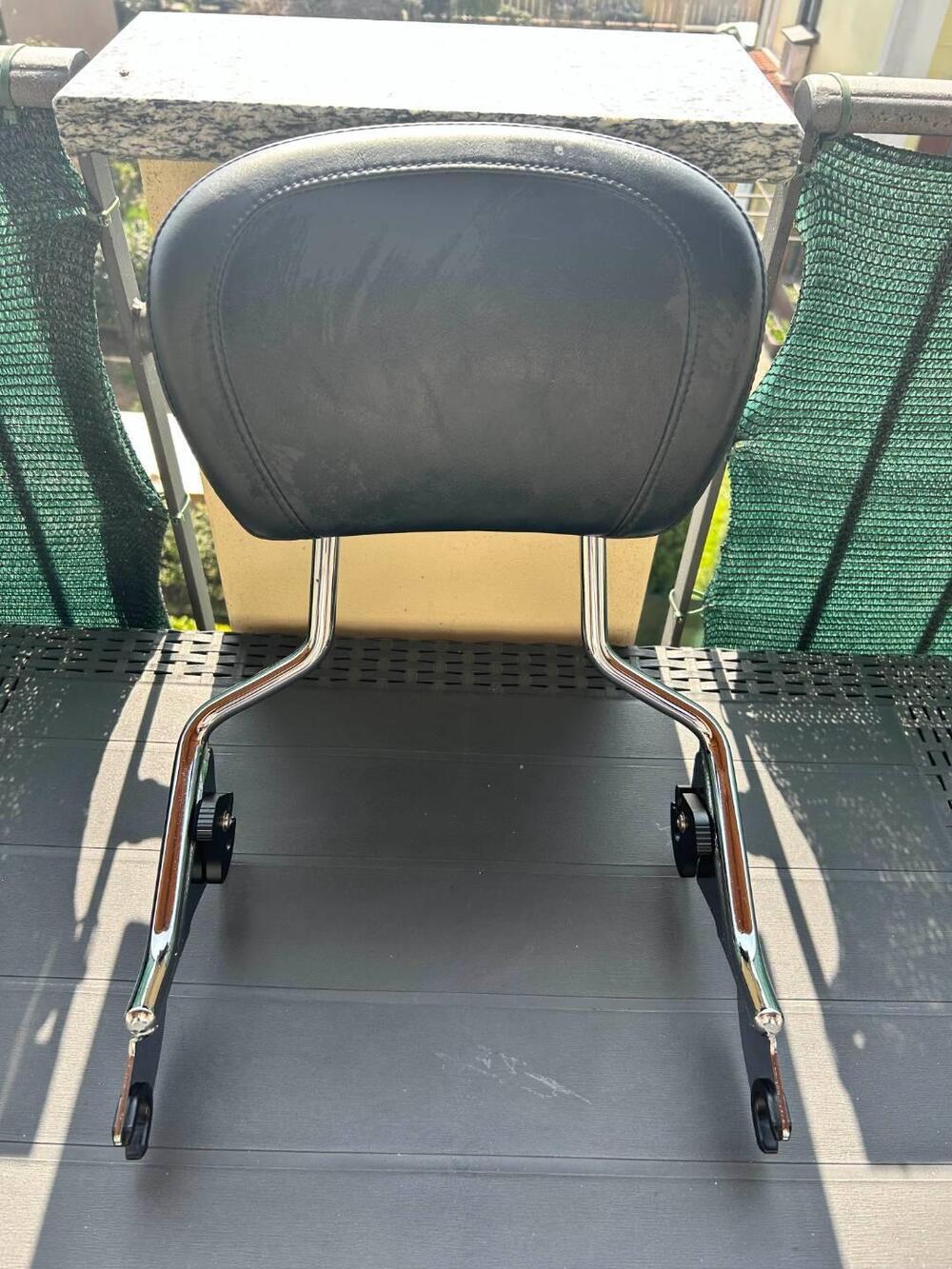 Sissy Bar Harley Davidson Touring 09-26 Harley-Davidson (2)