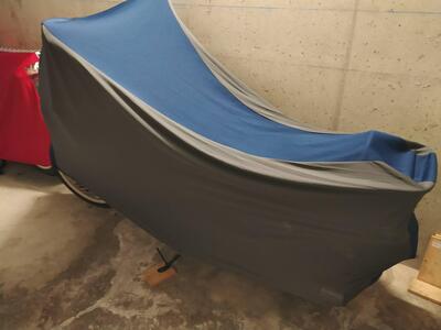 Triumph Bonneville SE (2009 - 13) usata