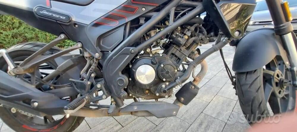 Benelli Leoncino 125 (2022 - 25) (5)