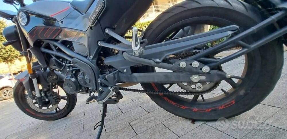 Benelli Leoncino 125 (2022 - 25) (6)