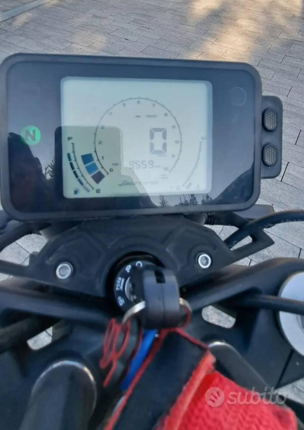 Benelli Leoncino 125 (2022 - 25) (4)