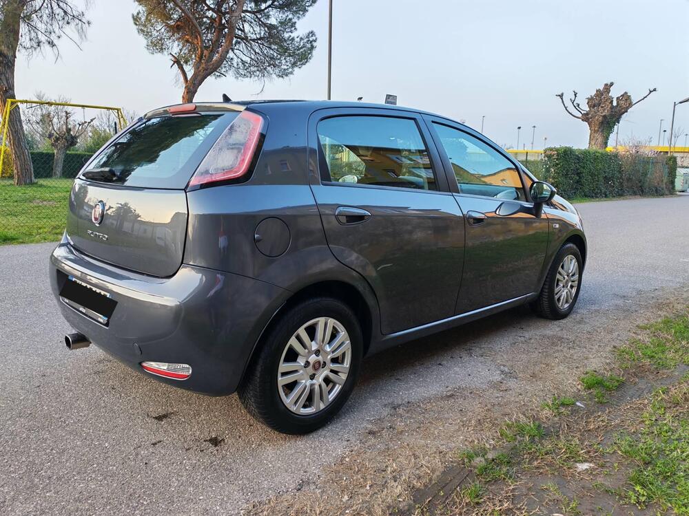 Fiat Punto usata a Verona (4)