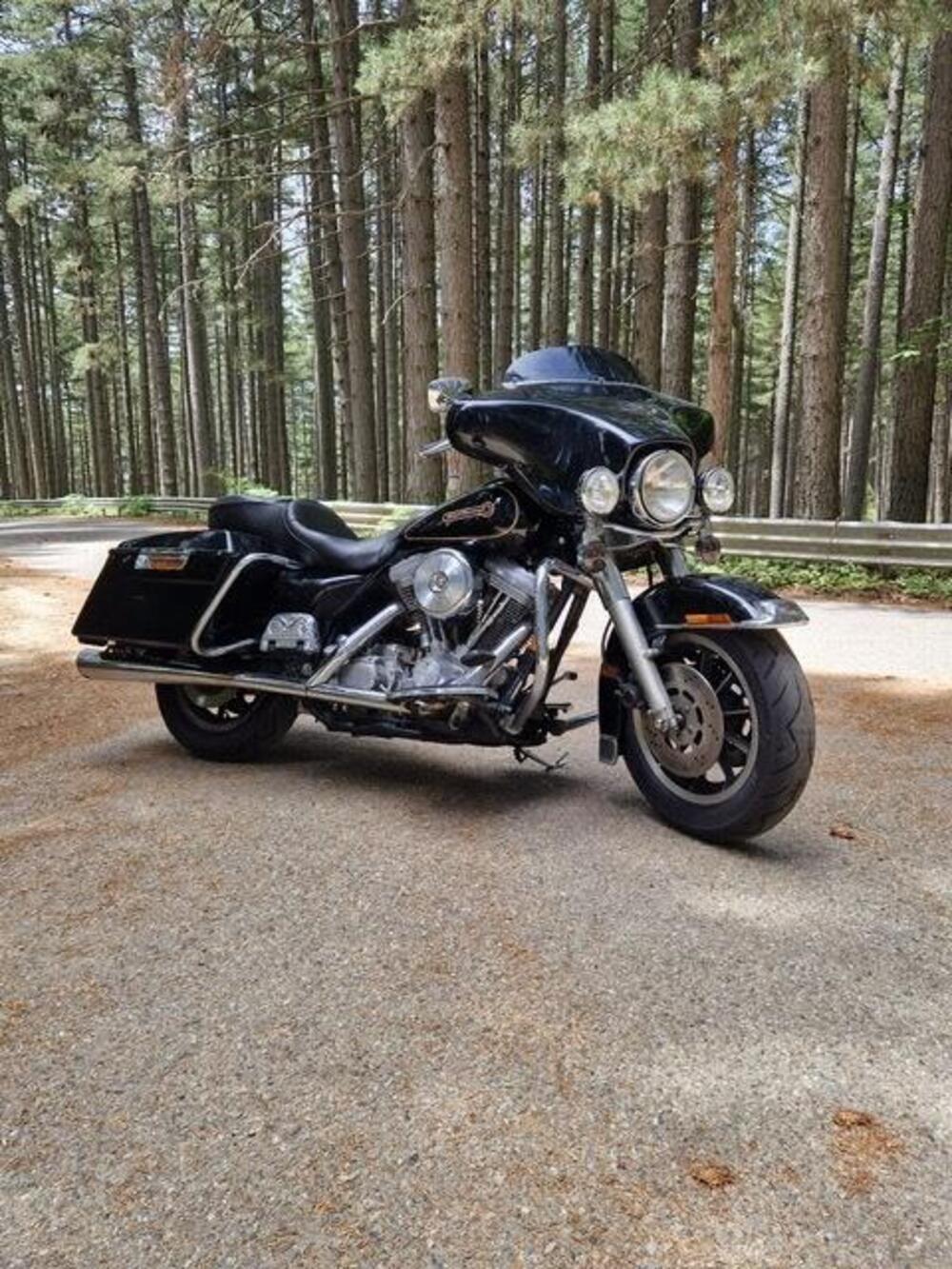 Harley-Davidson 1340 Electra Glide Standard (1995 - 99) - FLHT (10)