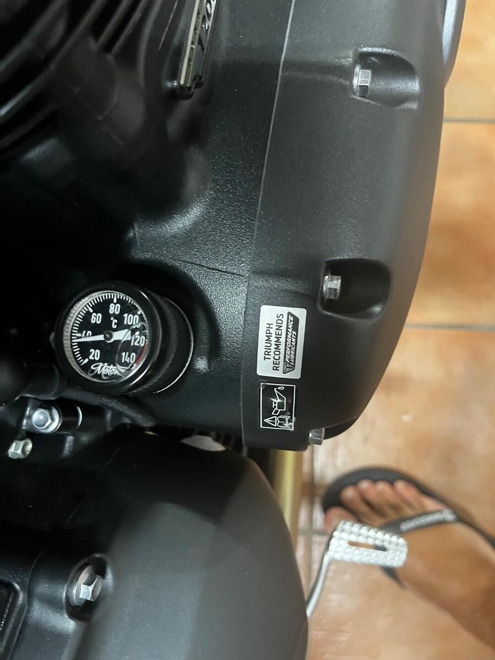 Triumph Speed Twin 1200 (2021 - 24) (5)