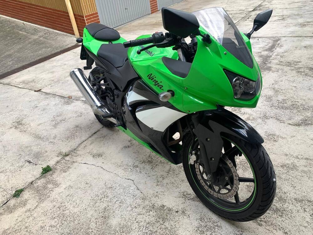 Kawasaki Ninja 250 R (2007 - 13) (2)