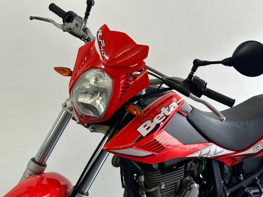 Betamotor Alp 4.0 (2008 - 17) (7)
