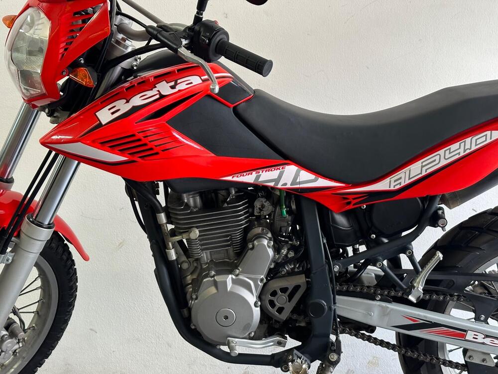 Betamotor Alp 4.0 (2008 - 17) (9)