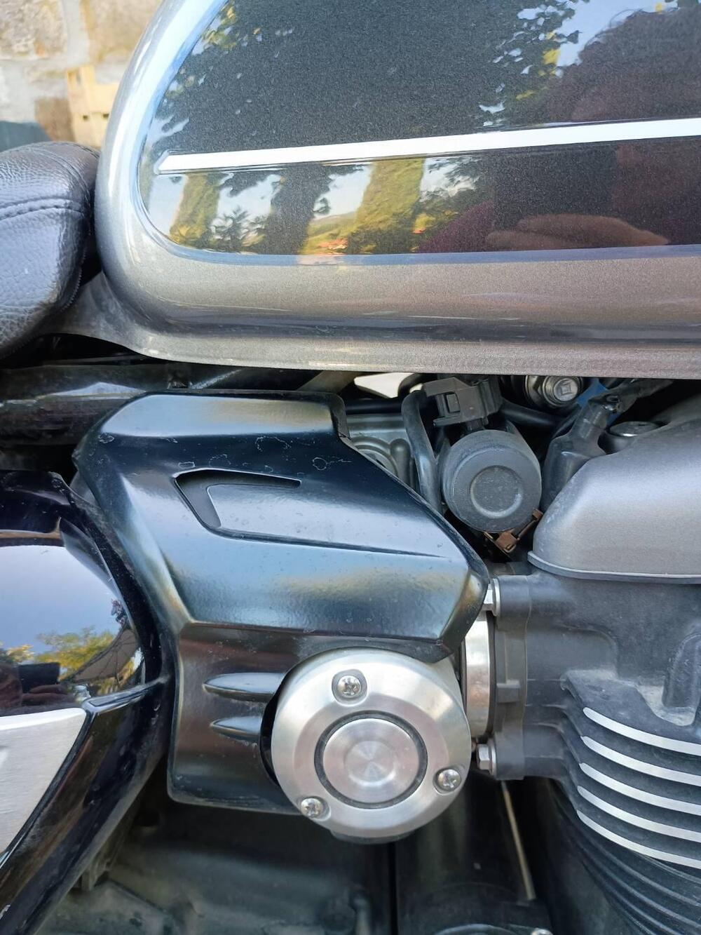 Triumph Speed Twin 1200 (2019 - 20) (6)