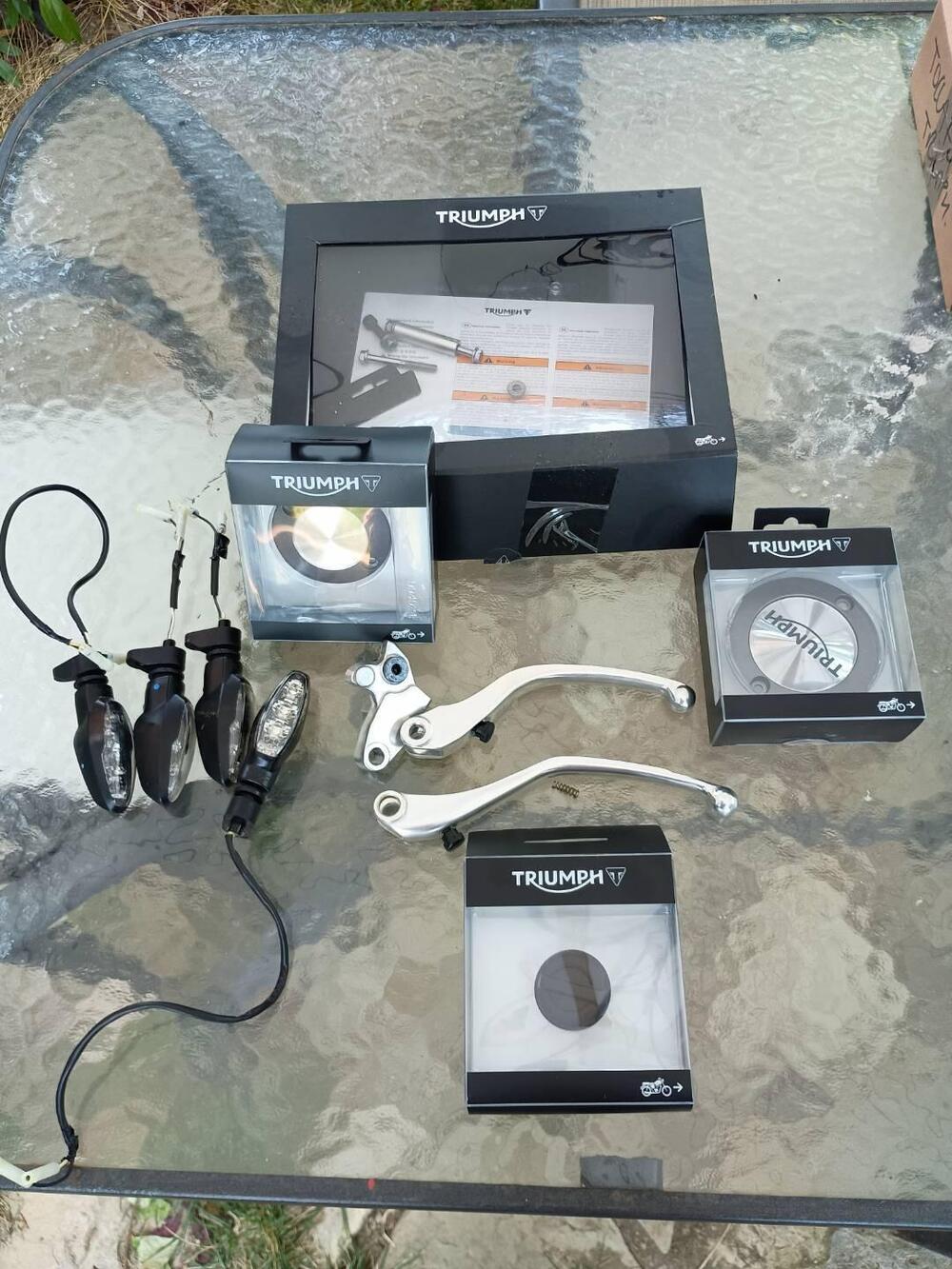 Triumph Speed Twin 1200 (2019 - 20) (8)