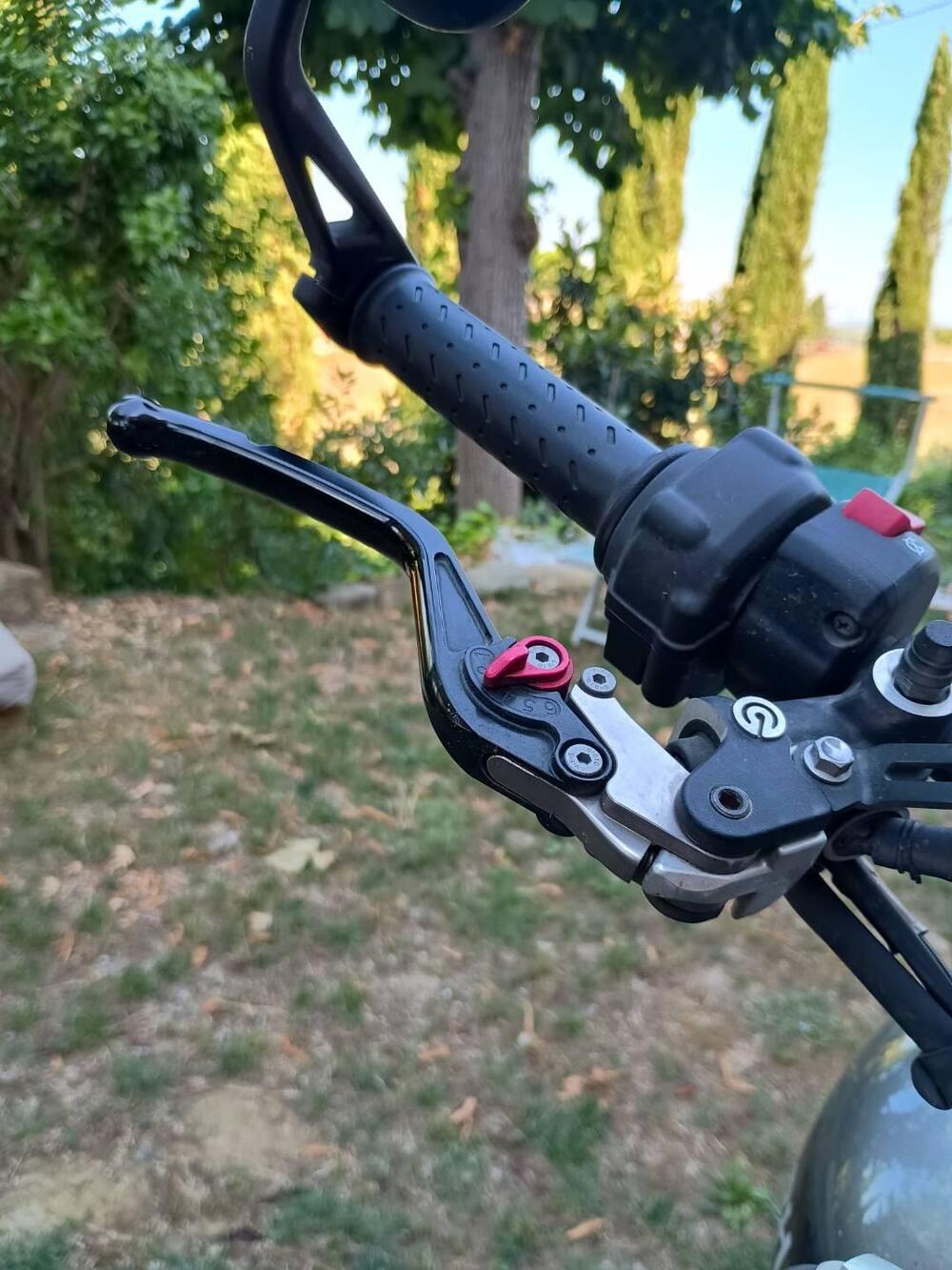 Triumph Speed Twin 1200 (2019 - 20) (9)