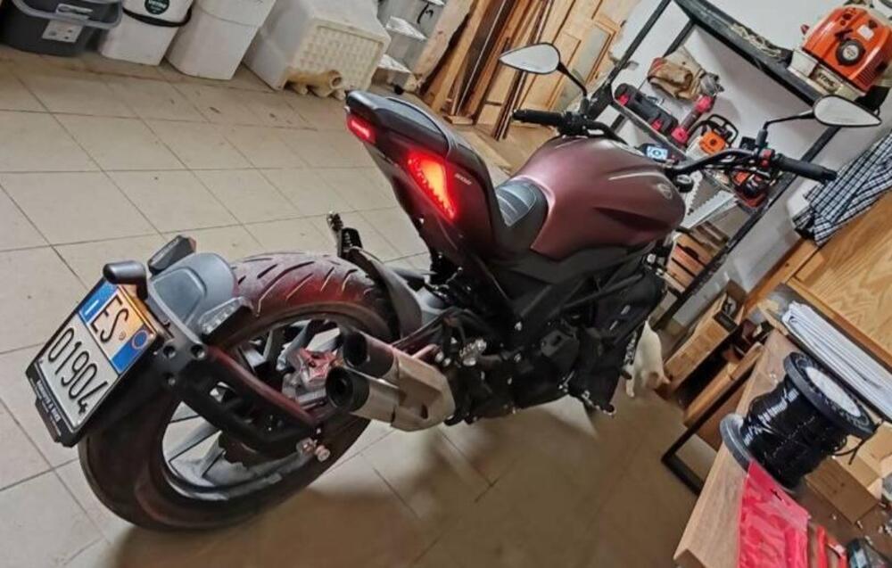 Benelli 502 C (2019 - 20) (2)