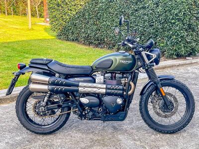 Triumph Street Scrambler 900 (2017 - 18) usata