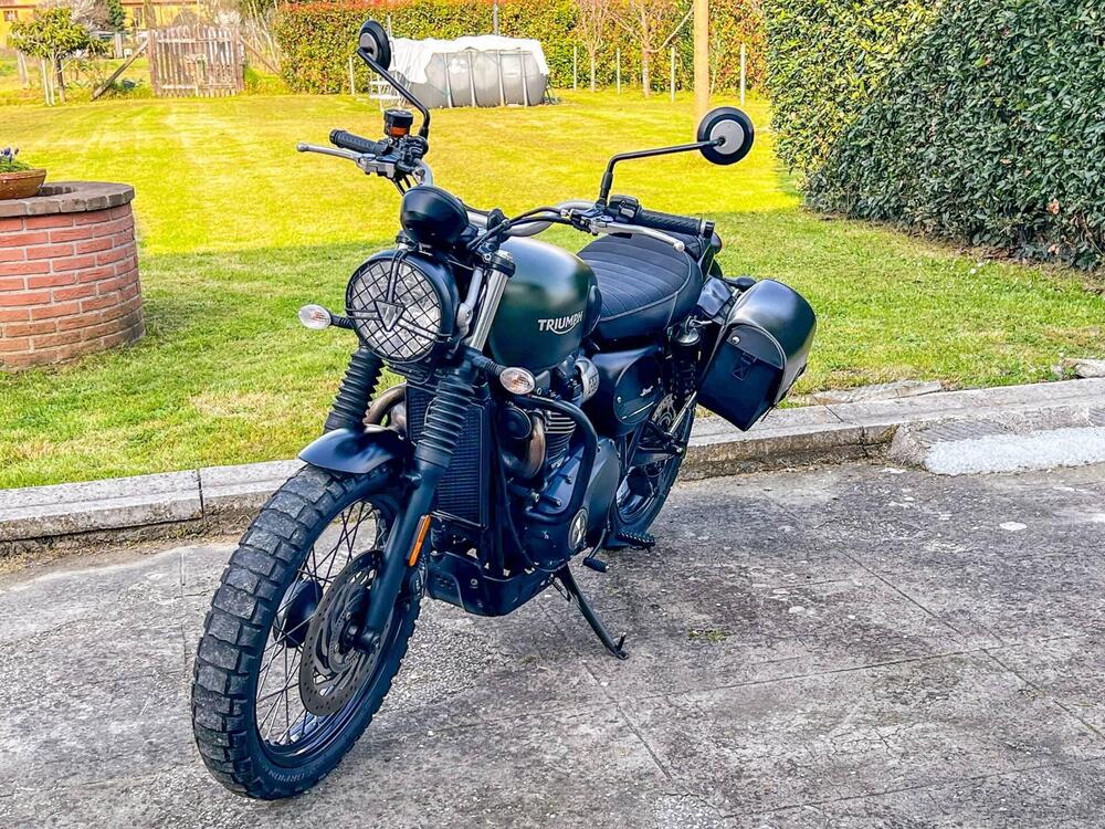 Triumph Street Scrambler 900 (2017 - 18) (6)