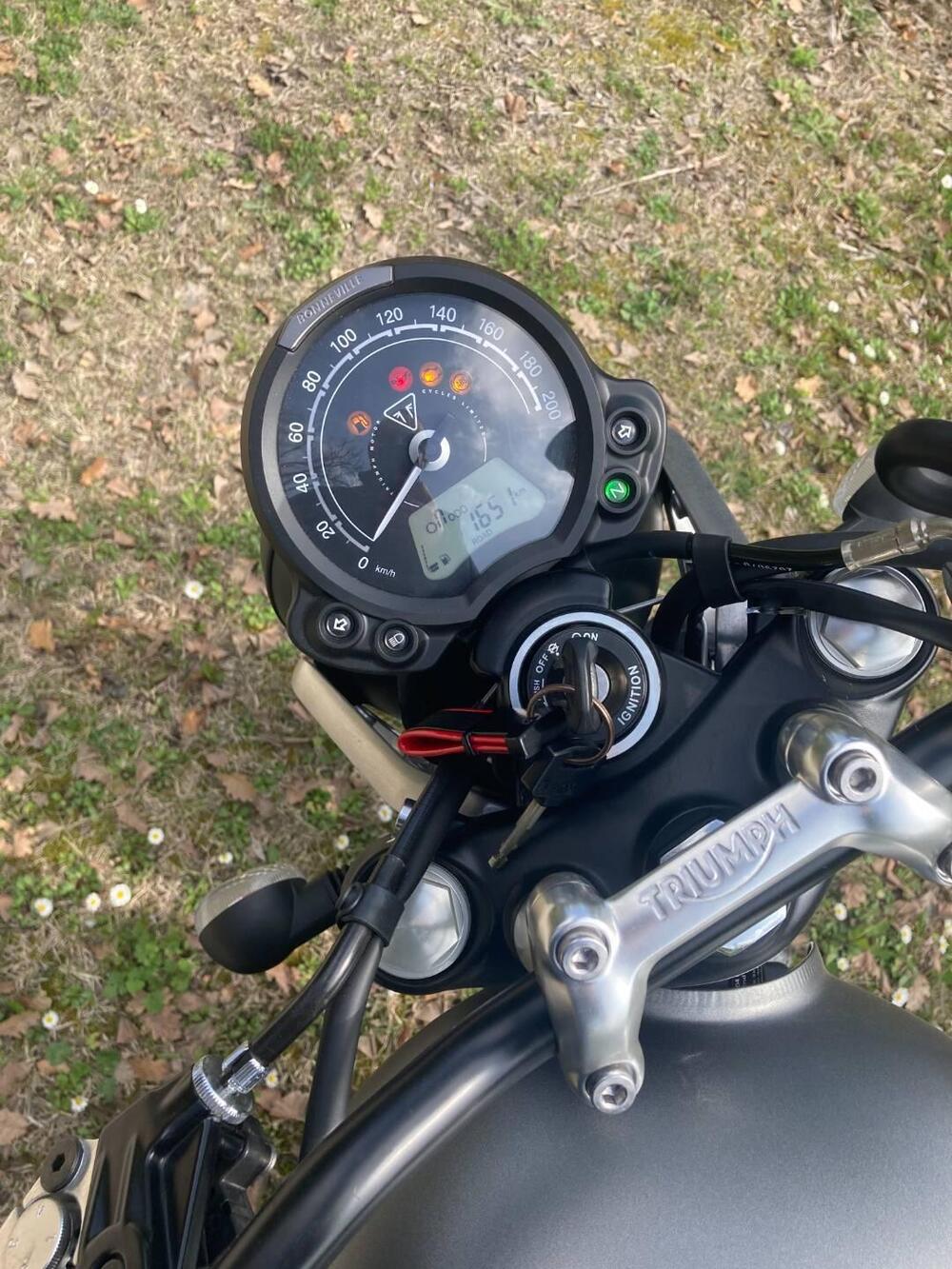 Triumph Street Twin EC1 Special Edition (2022 - 23) (3)