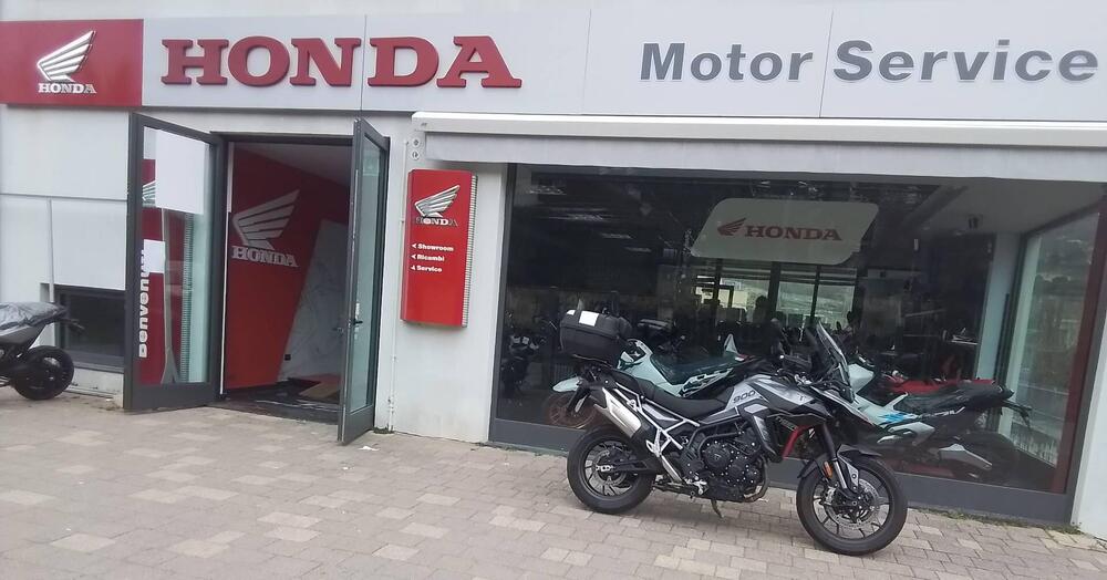 Triumph Tiger 900 GT (2024 - 26) (11)