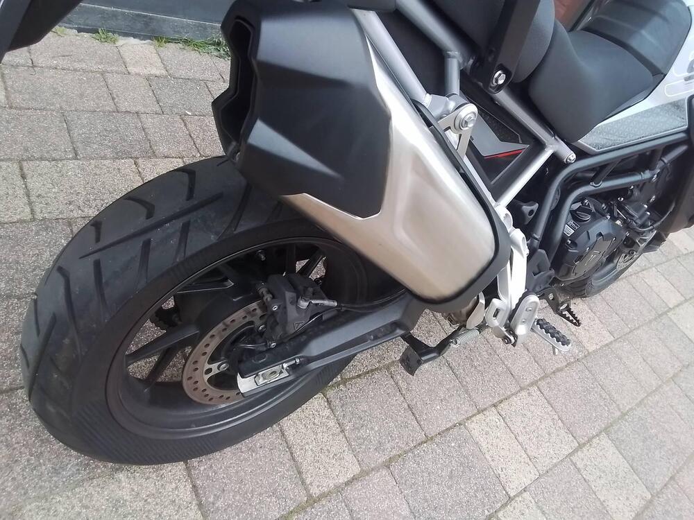 Triumph Tiger 900 GT (2024 - 26) (15)