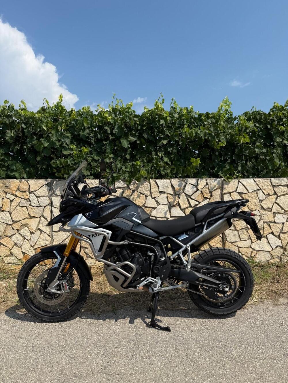 Triumph Tiger 900 Rally Pro (2024 - 26) (2)