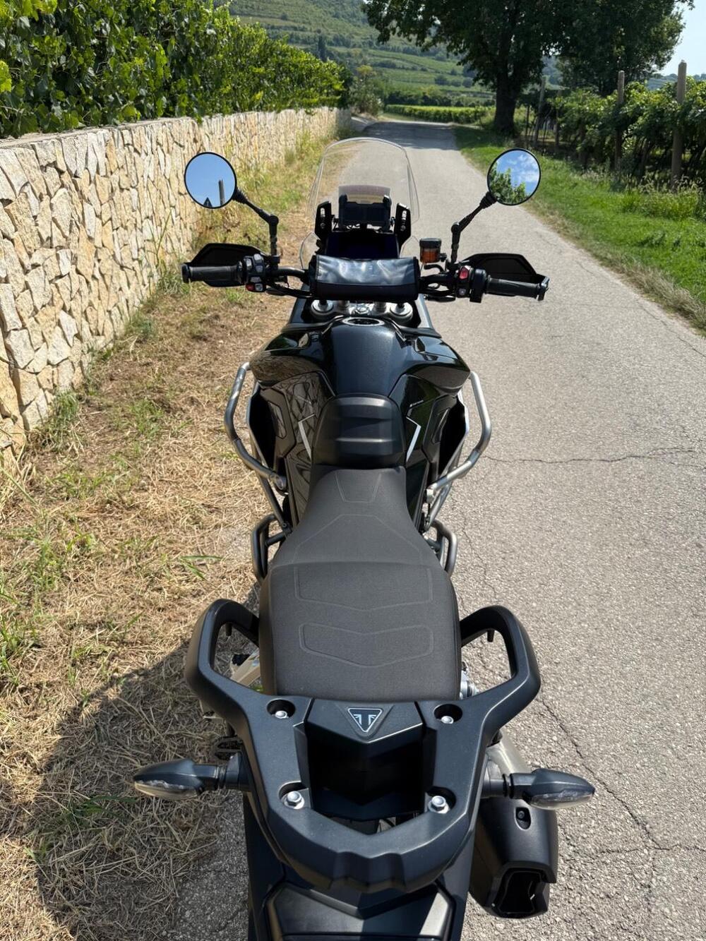 Triumph Tiger 900 Rally Pro (2024 - 26) (3)