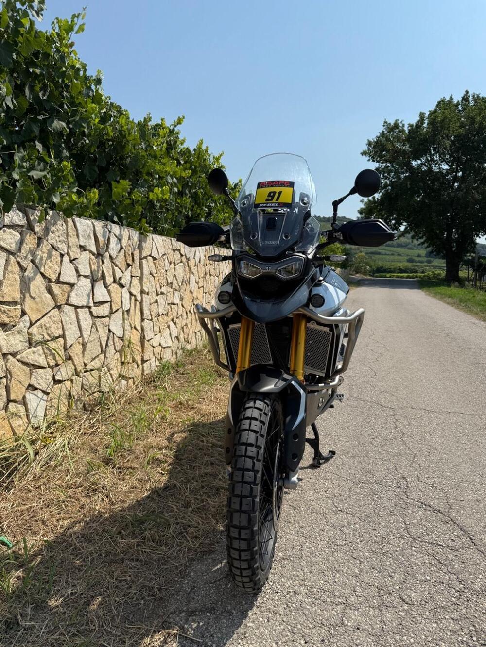 Triumph Tiger 900 Rally Pro (2024 - 26) (4)