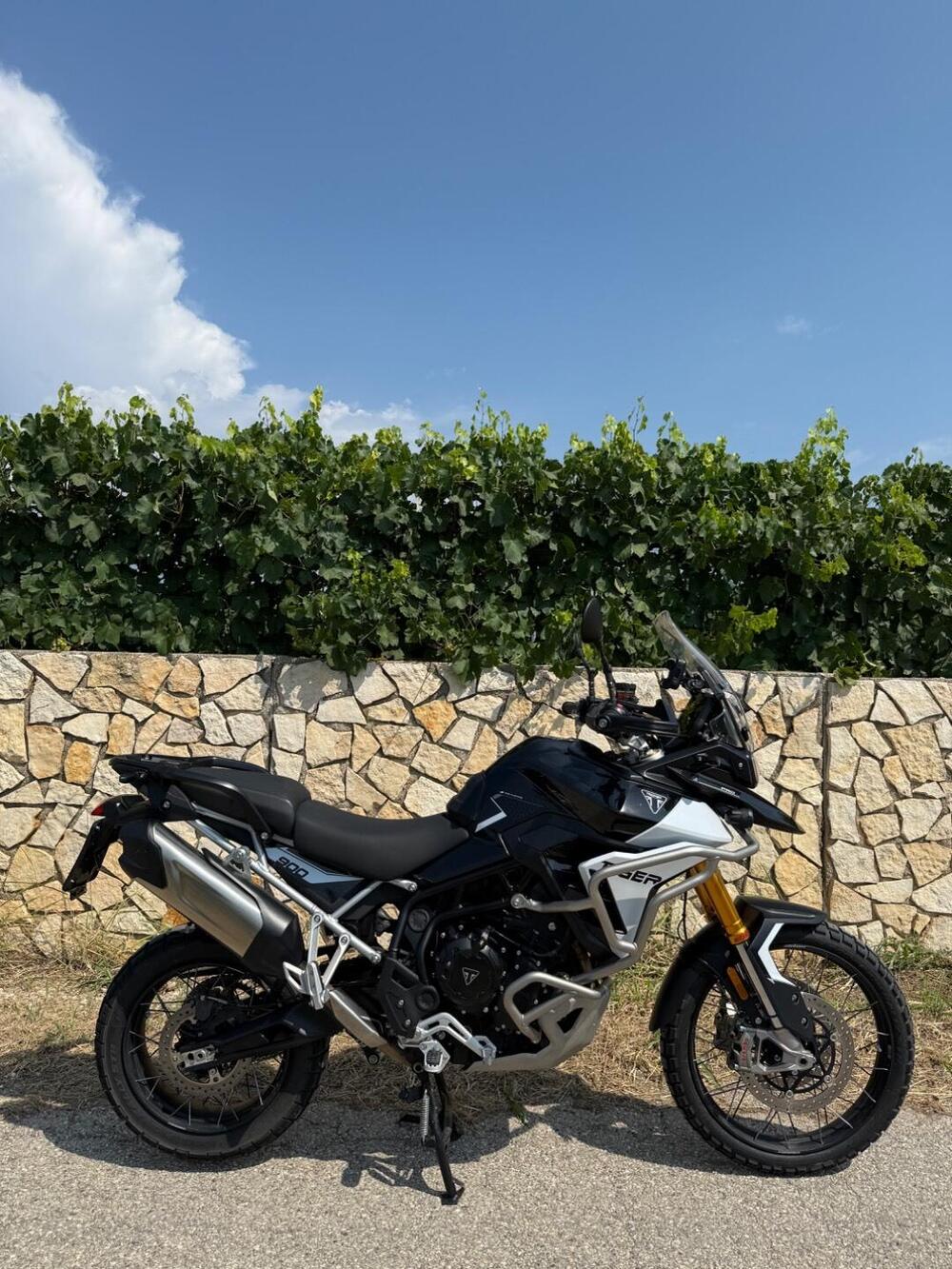 Triumph Tiger 900 Rally Pro (2024 - 26) (5)