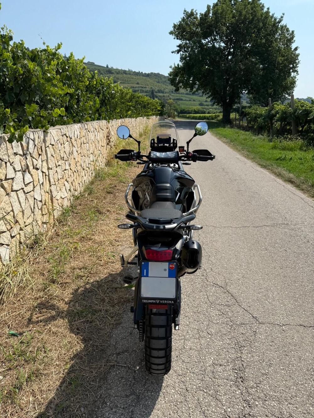 Triumph Tiger 900 Rally Pro (2024 - 26) (6)