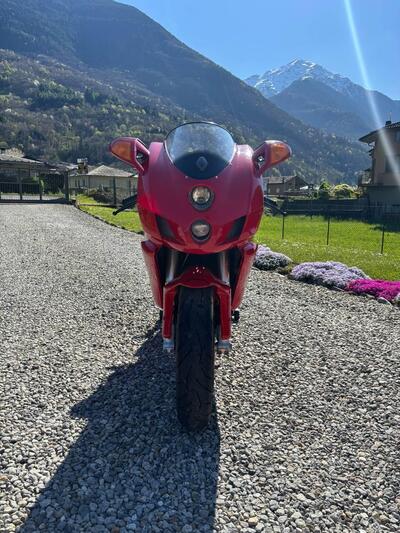 Ducati 999 (2005 - 06) usata