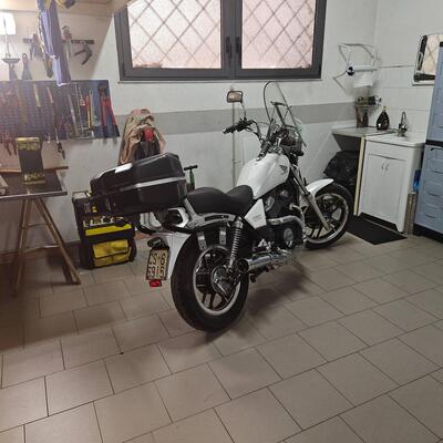 Honda VT 500 E (1985 - 86) usata