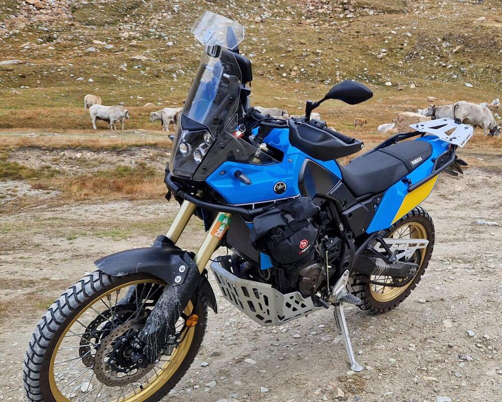 Yamaha Ténéré 700 Rally Edition (2021) (3)