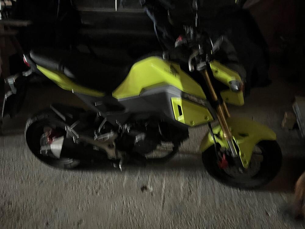 Honda MSX 125 (2016 - 17) (3)