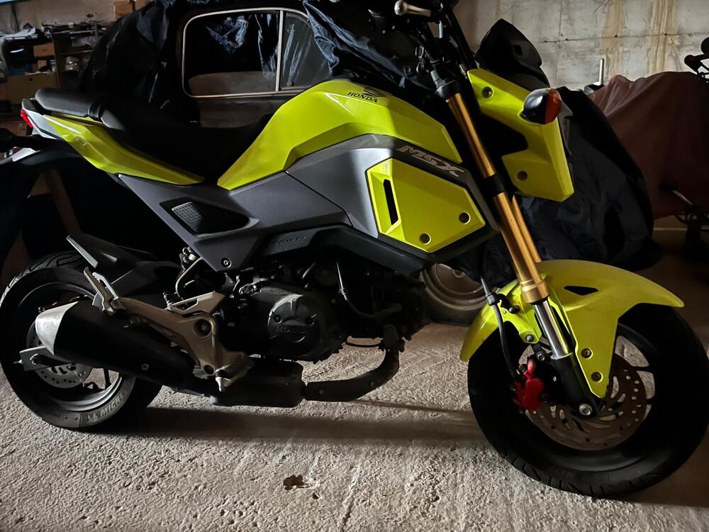 Honda MSX 125 (2016 - 17) (4)