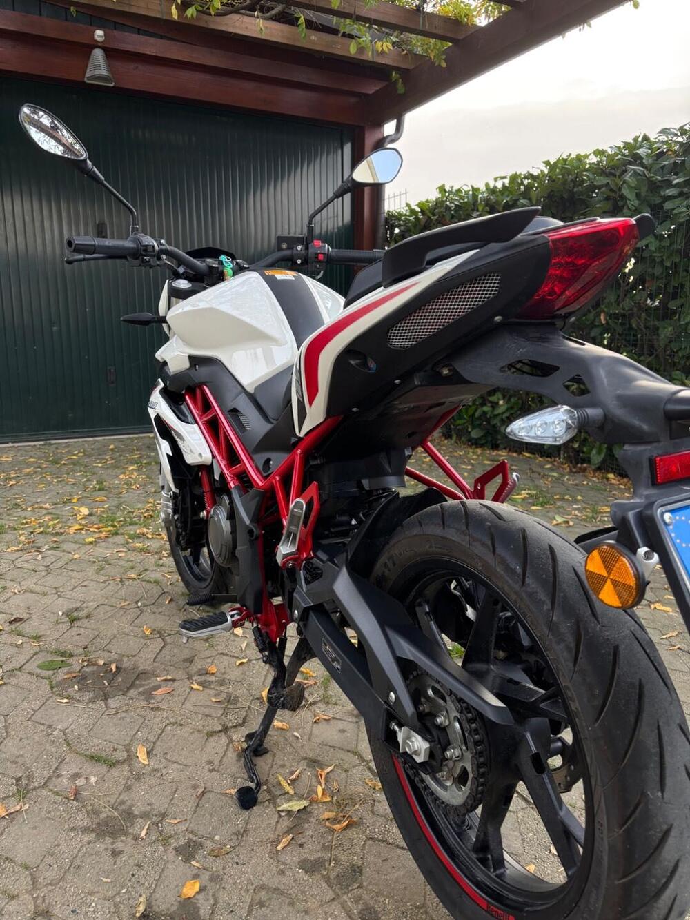Benelli BN 125 (2021 - 25) (2)