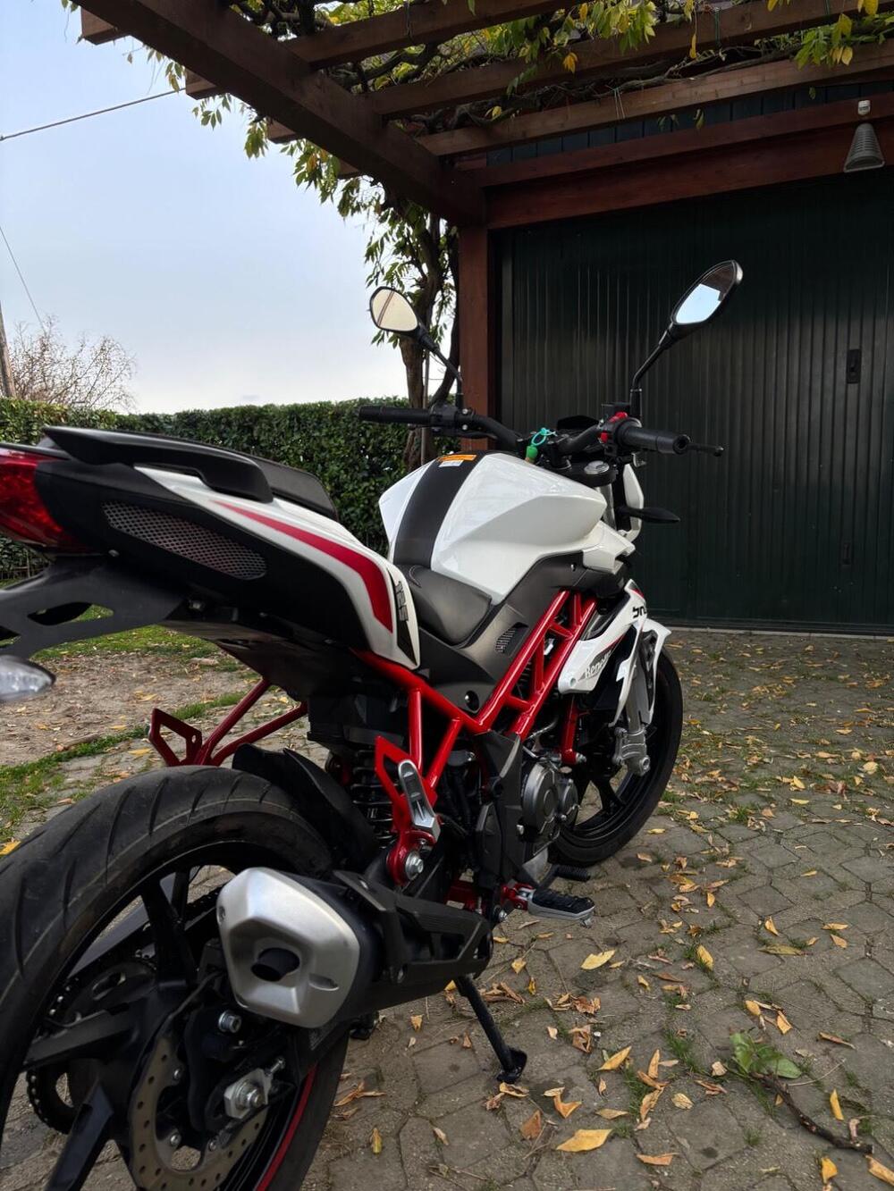 Benelli BN 125 (2021 - 25) (3)