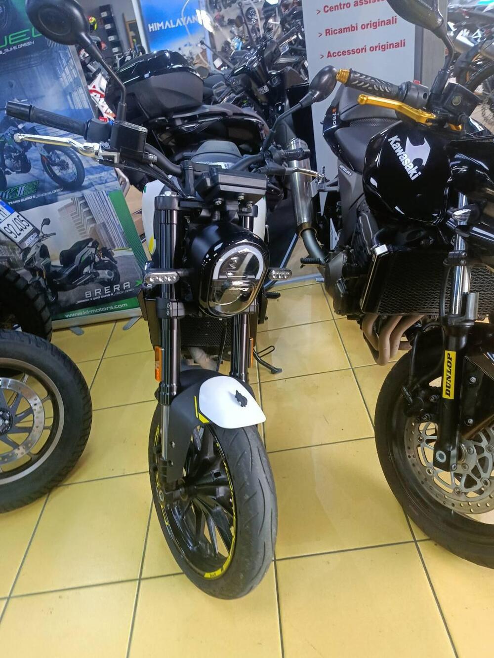 Benelli Leoncino 250 (2021 - 25) (2)