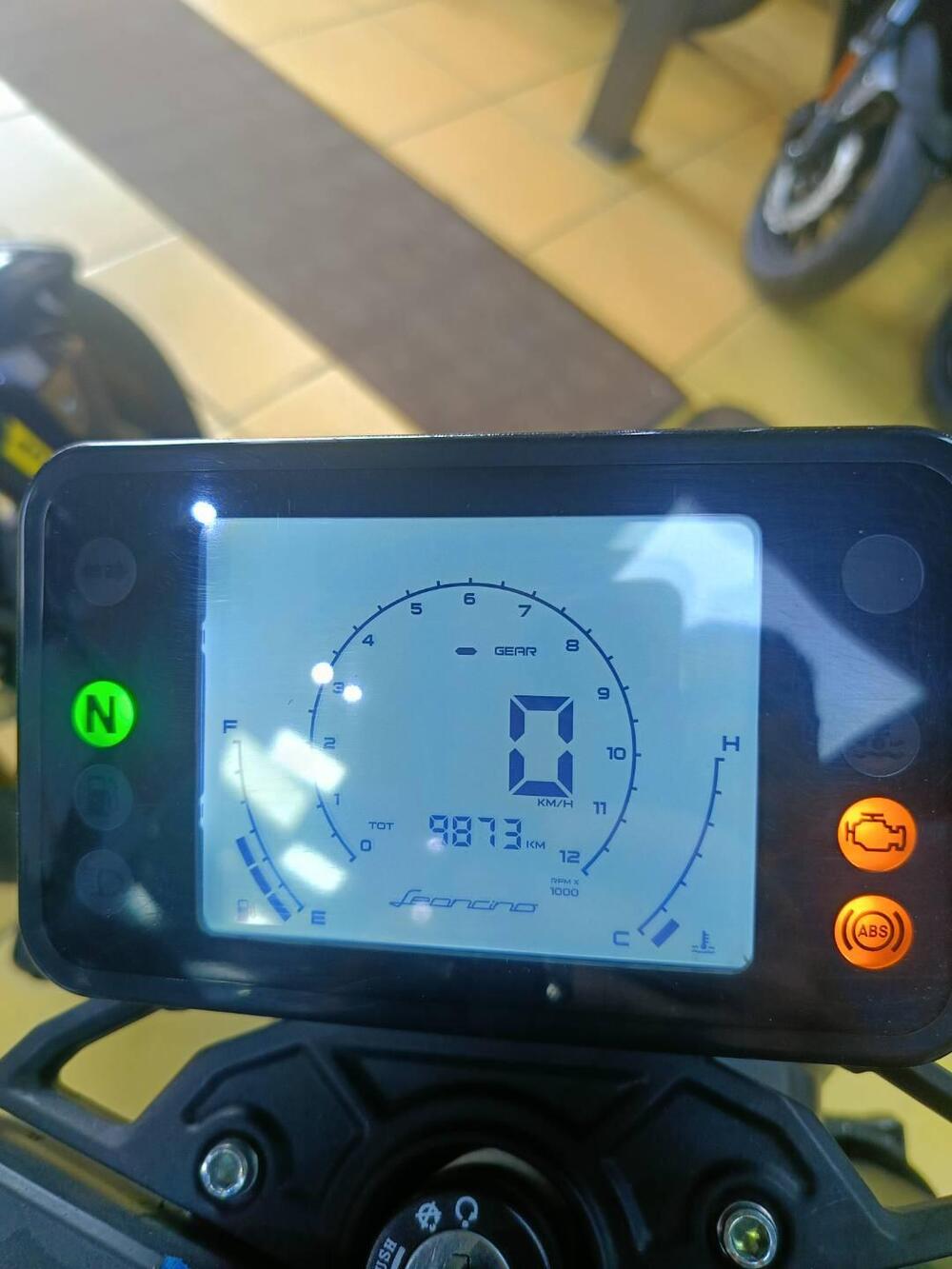 Benelli Leoncino 250 (2021 - 25) (3)